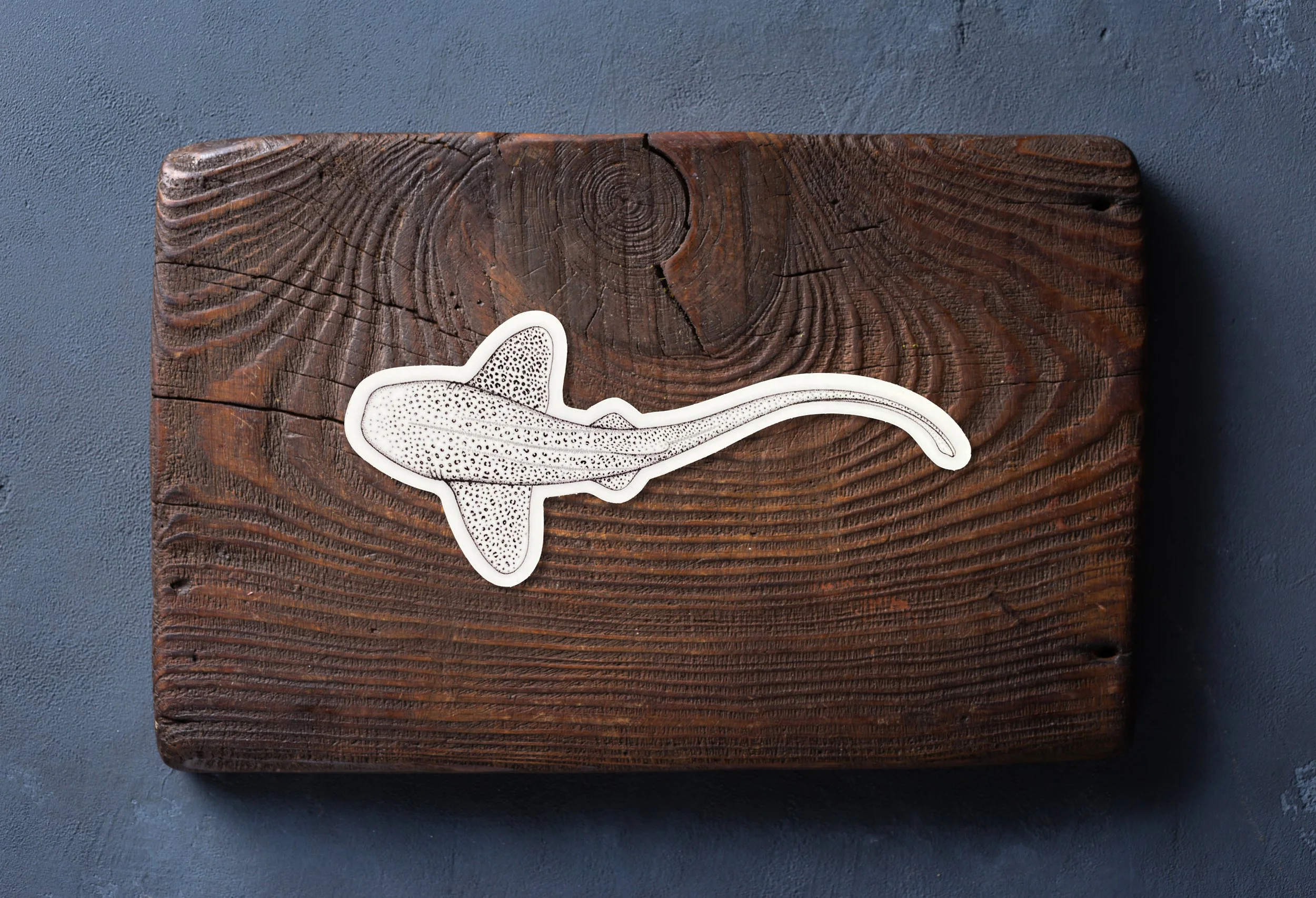 Vinyl sticker featuring a drawing of a leopard shark. Unique ocean art encapsulated into a durable, waterproof sticker. Perfect for water bottles, laptop decals, or for a journal.