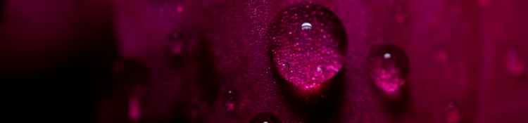 Why Human Design-3.png