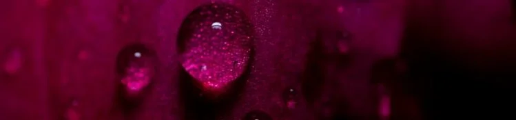 Why Human Design-3.jpg