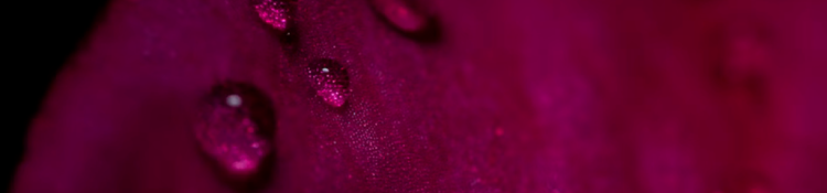 Why Human Design-4.png