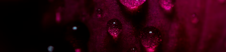 Why Human Design-5.png