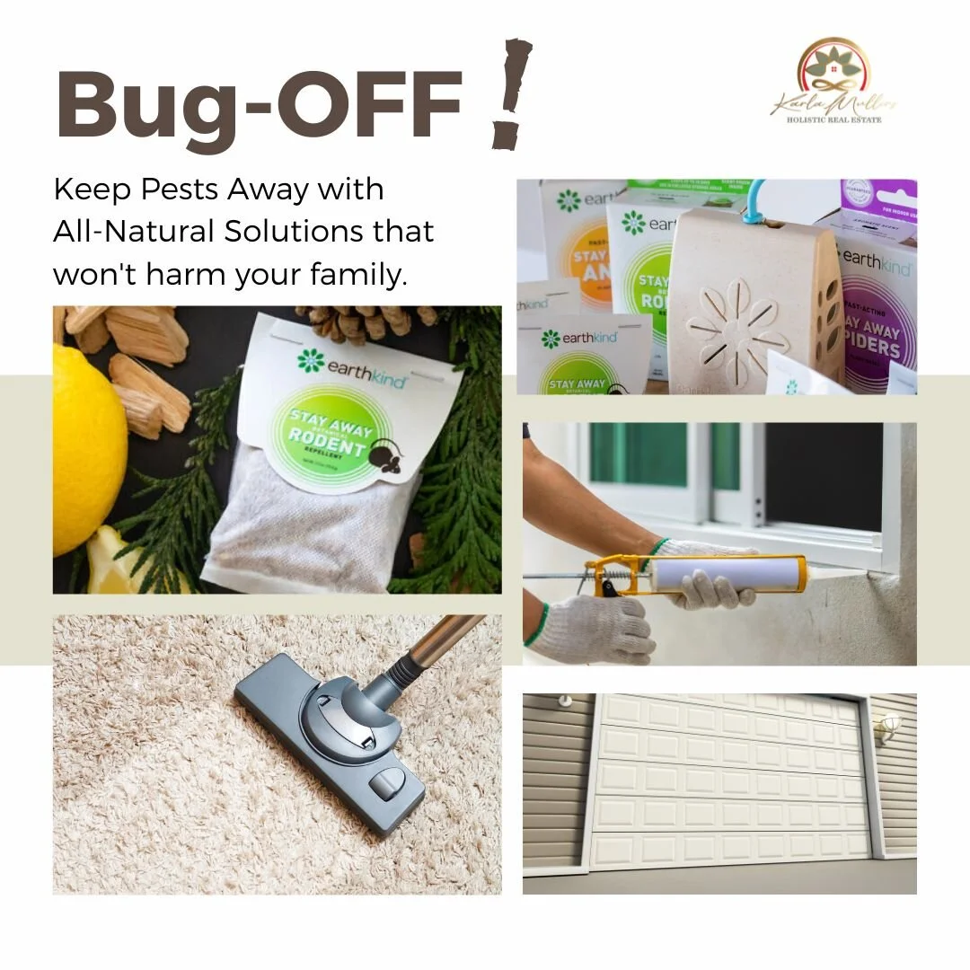 Dealing with pests and rodents in your home can be a real pain, but the risks of using toxic pest repellents can be even scarier. Did you know that many of these products are loaded with harmful pesticides that we spray all over our homes without eve