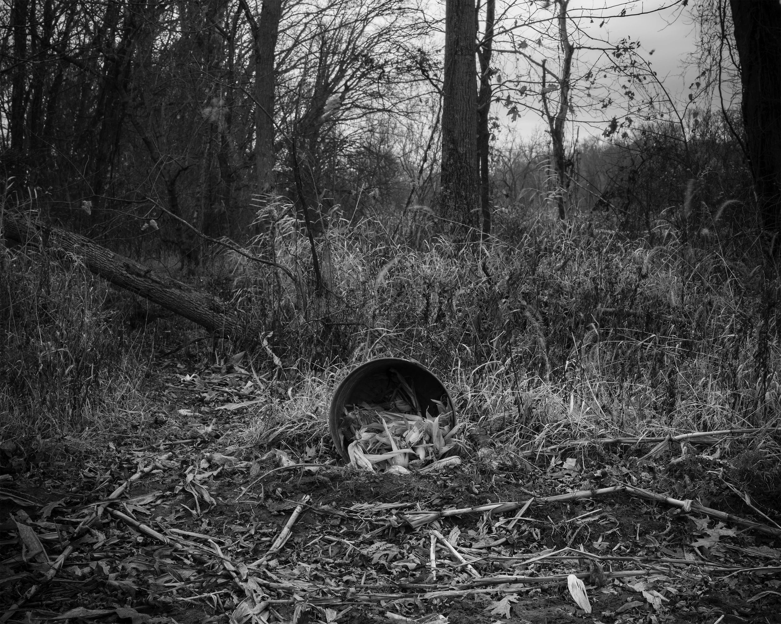 Final Project_3_490_FA23.jpg