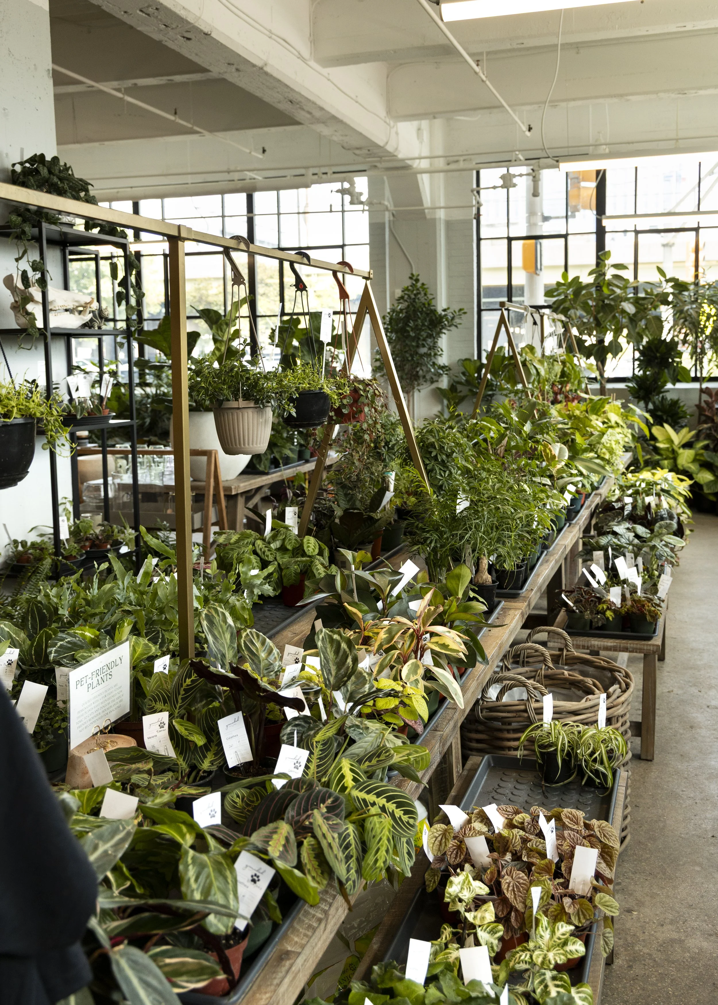 20250826-Grounded SM Content-6.jpg