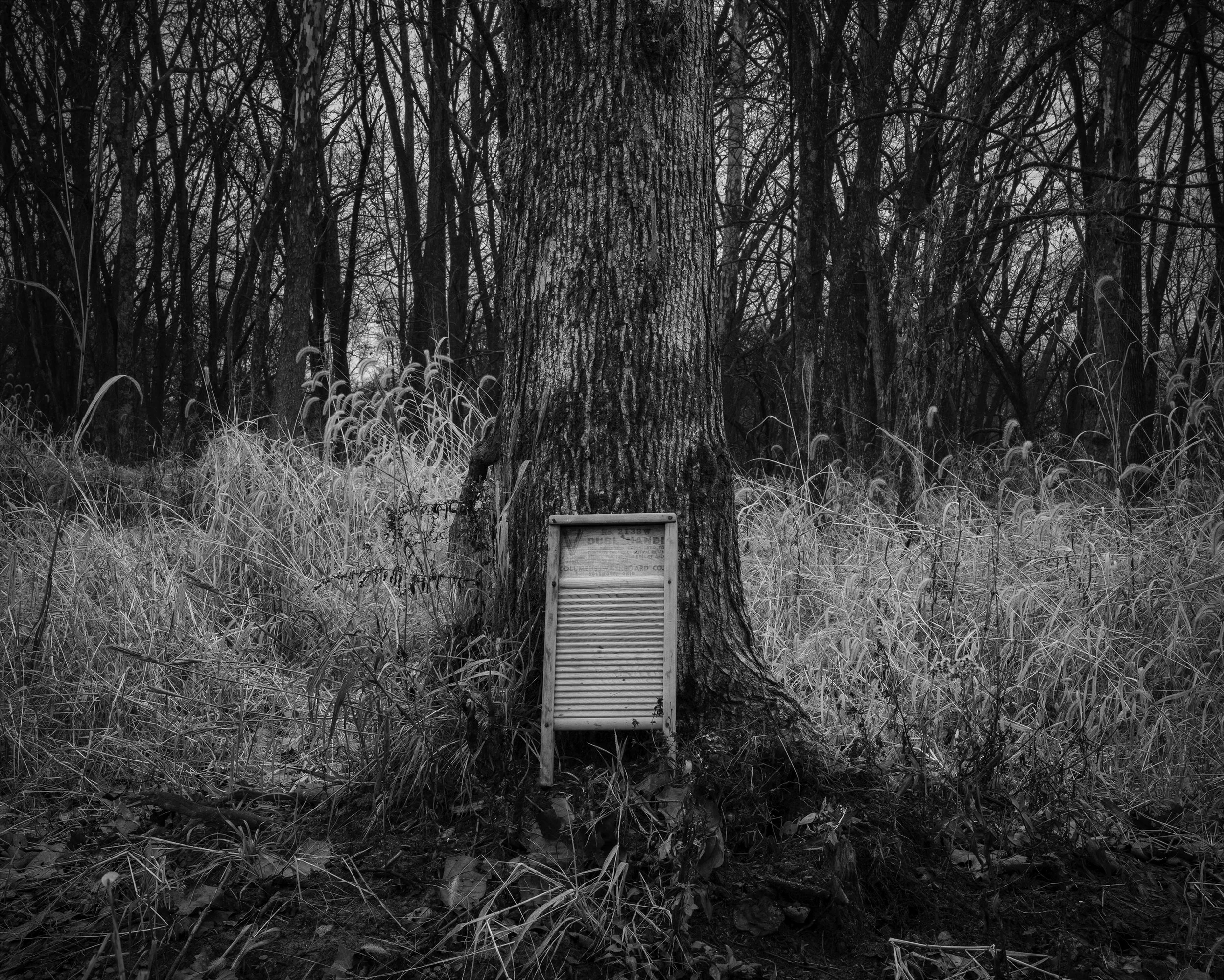 FInal Project_490_FA23.jpg