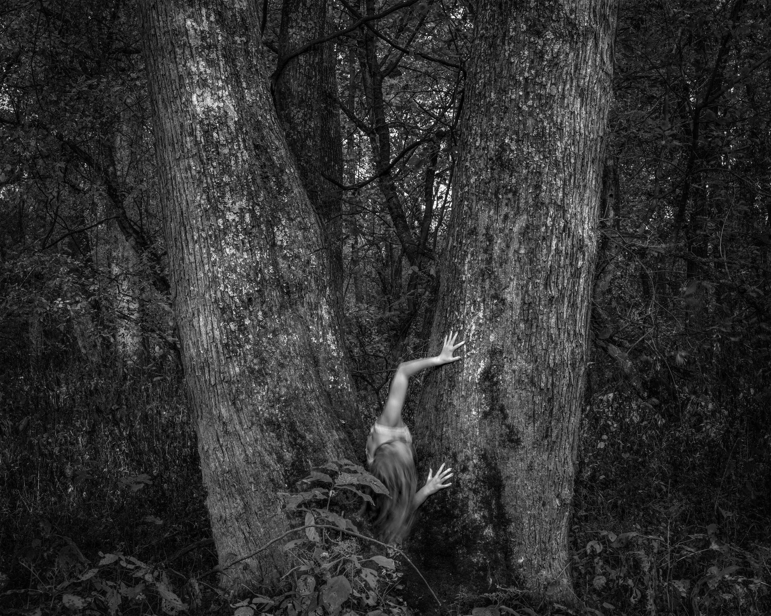 _R0A7156-Edit copy.jpg