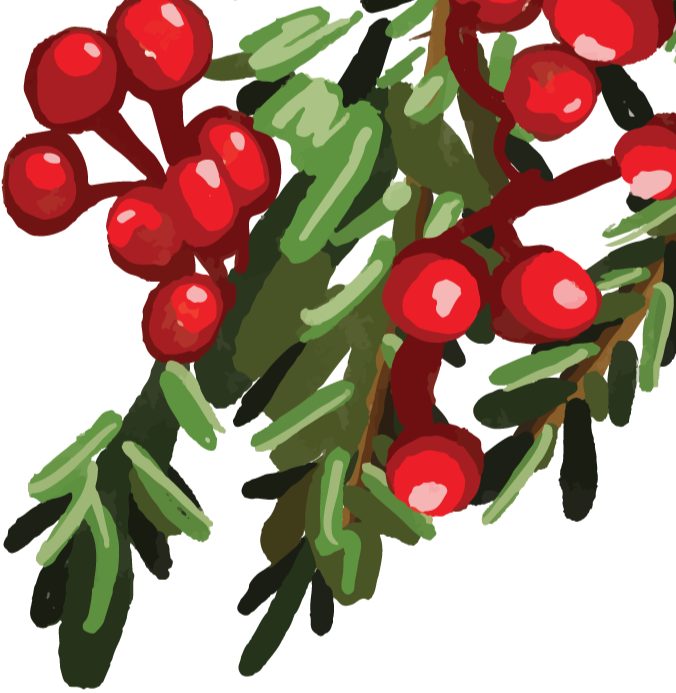 Red berries with green leaves, possibly holly or winterberry.