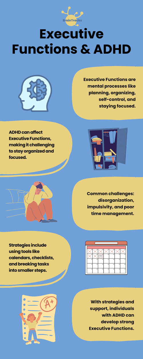 Executive Functions & ADHD [Infographic] — BrainTracks