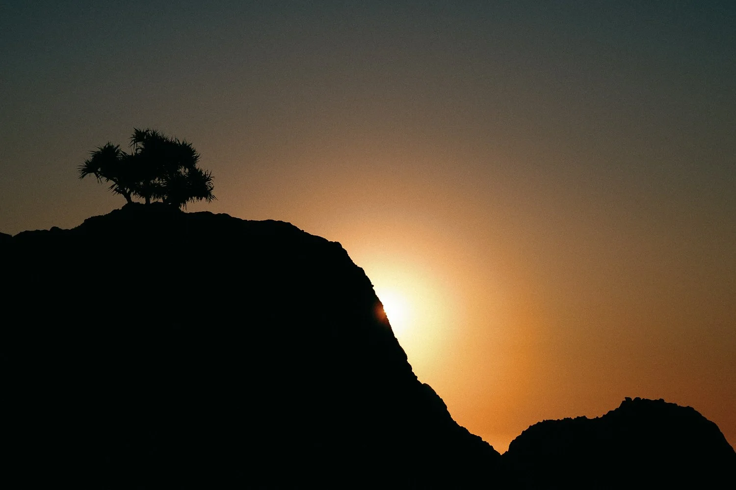 The Way Home | Retreat, Ibiza