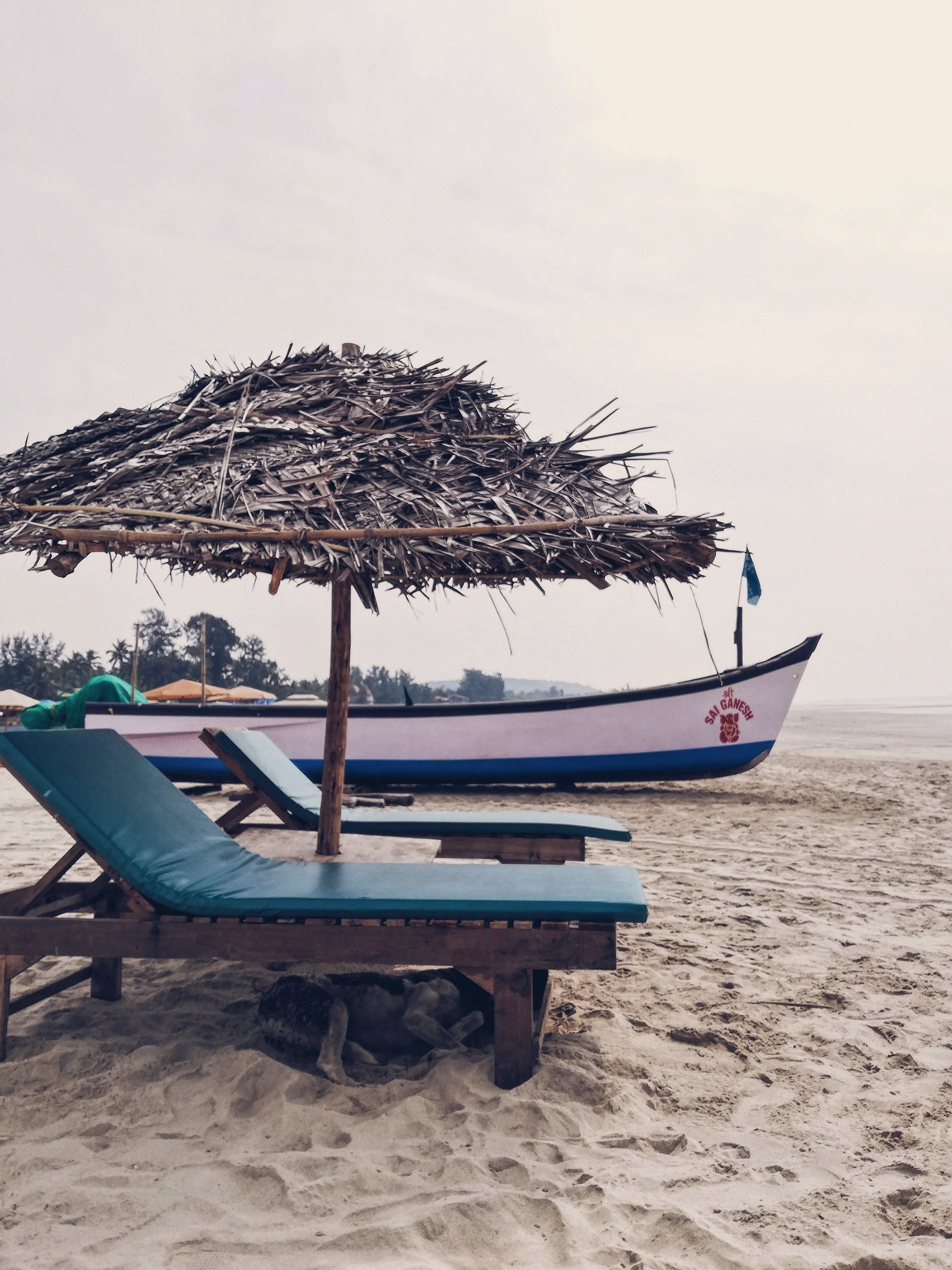 rohit-tandon-lQTkyMT9pT0-unsplash.jpg