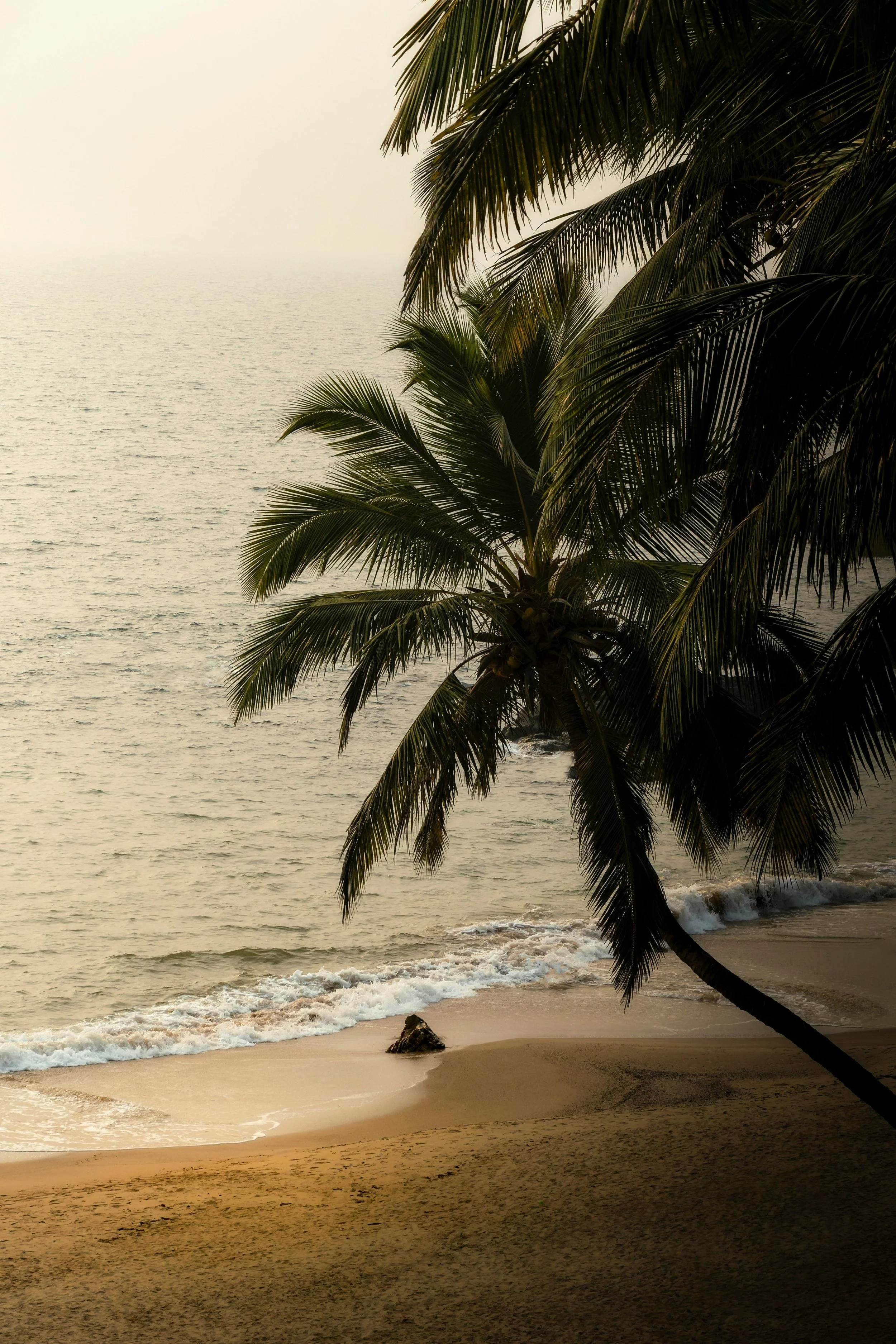 chirayu-sharma-SifNQ0nSgRY-unsplash.jpg