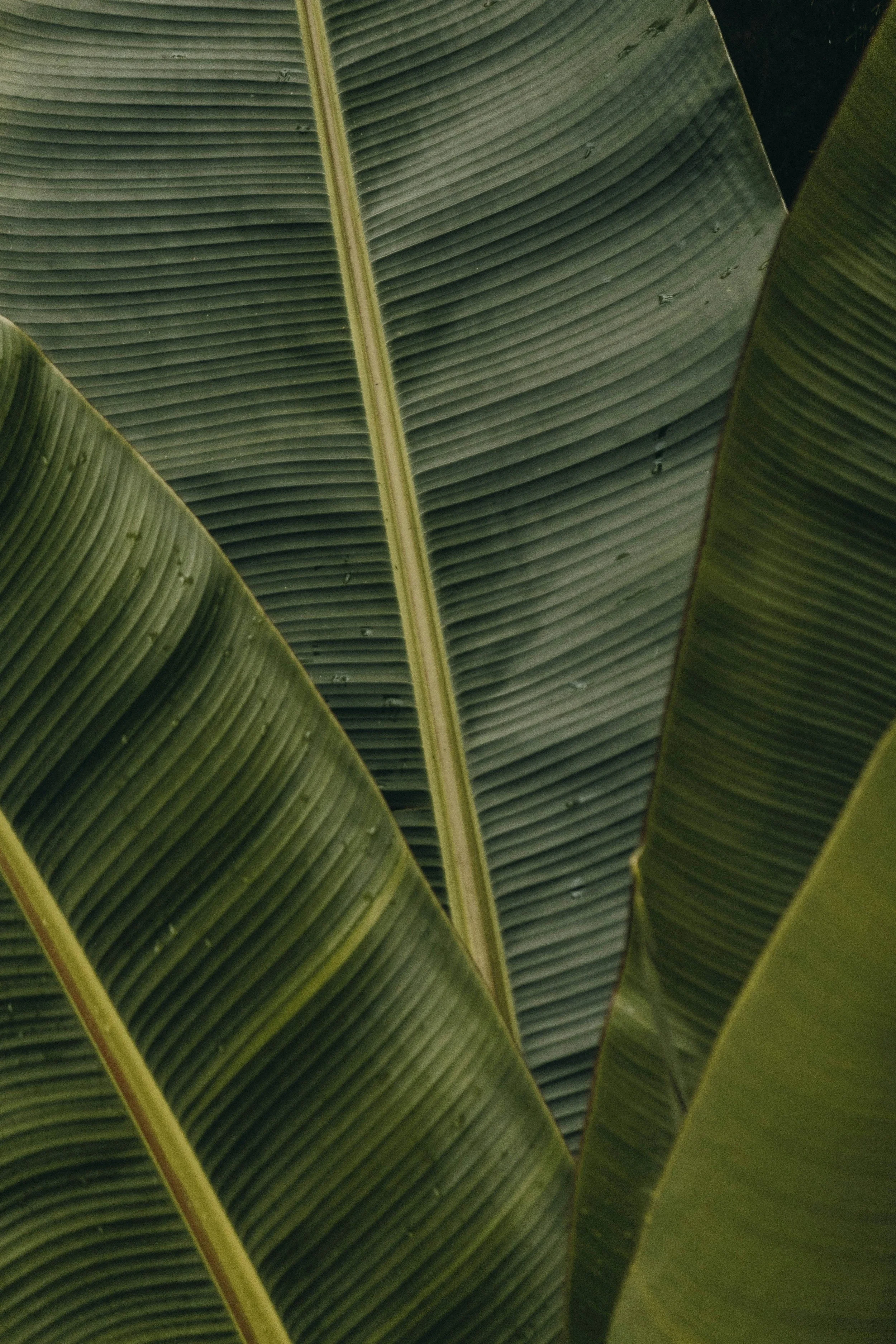 nrd-_Xp_PU4xhCU-unsplash.jpg