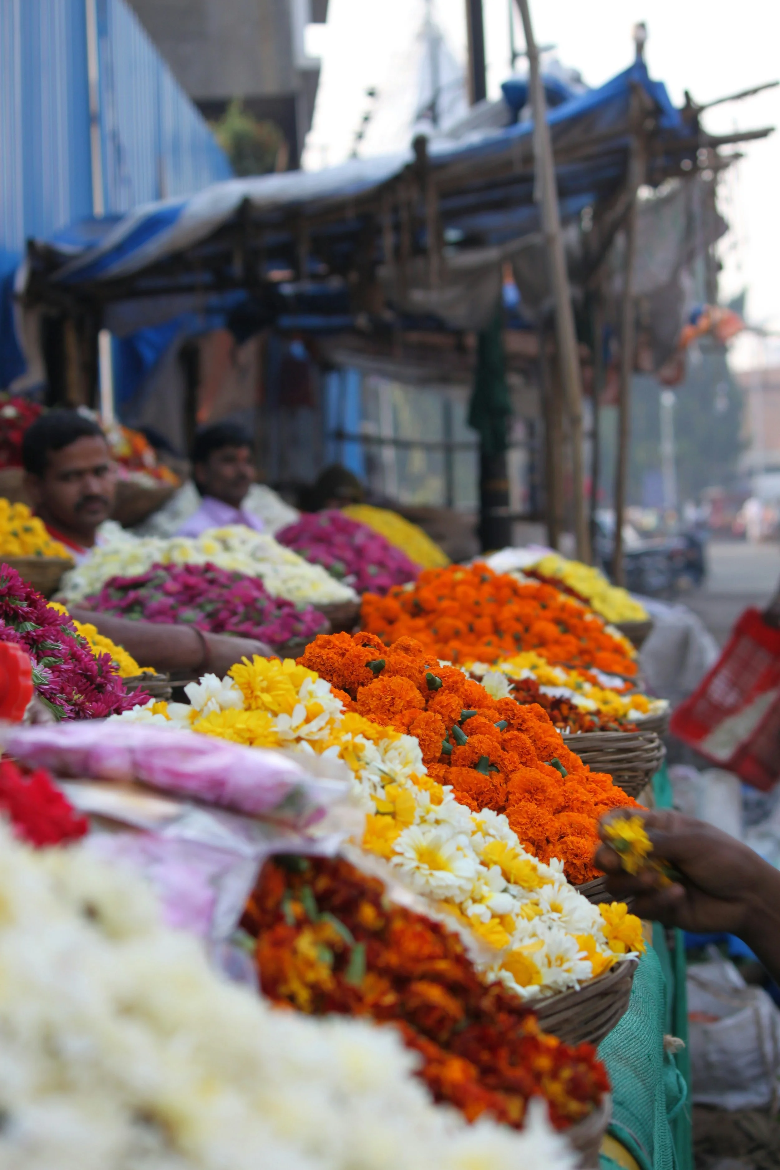 sunil-tanaji-shinde-fpFJUivwWKQ-unsplash.jpg