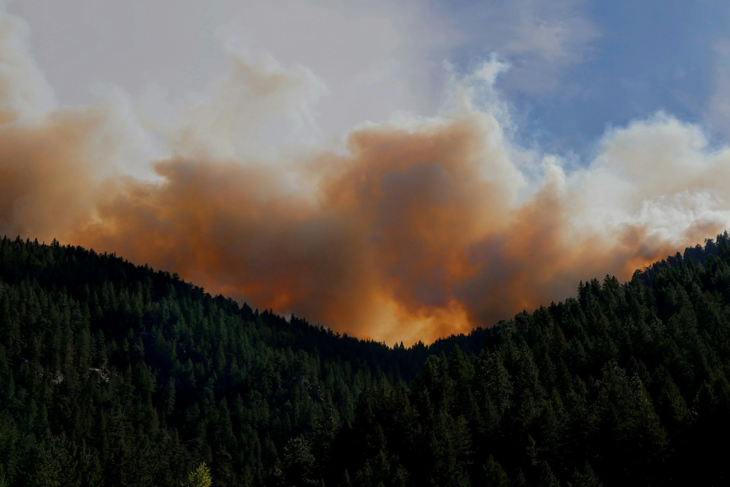 A Guide to Wildfire Season Preparedness 