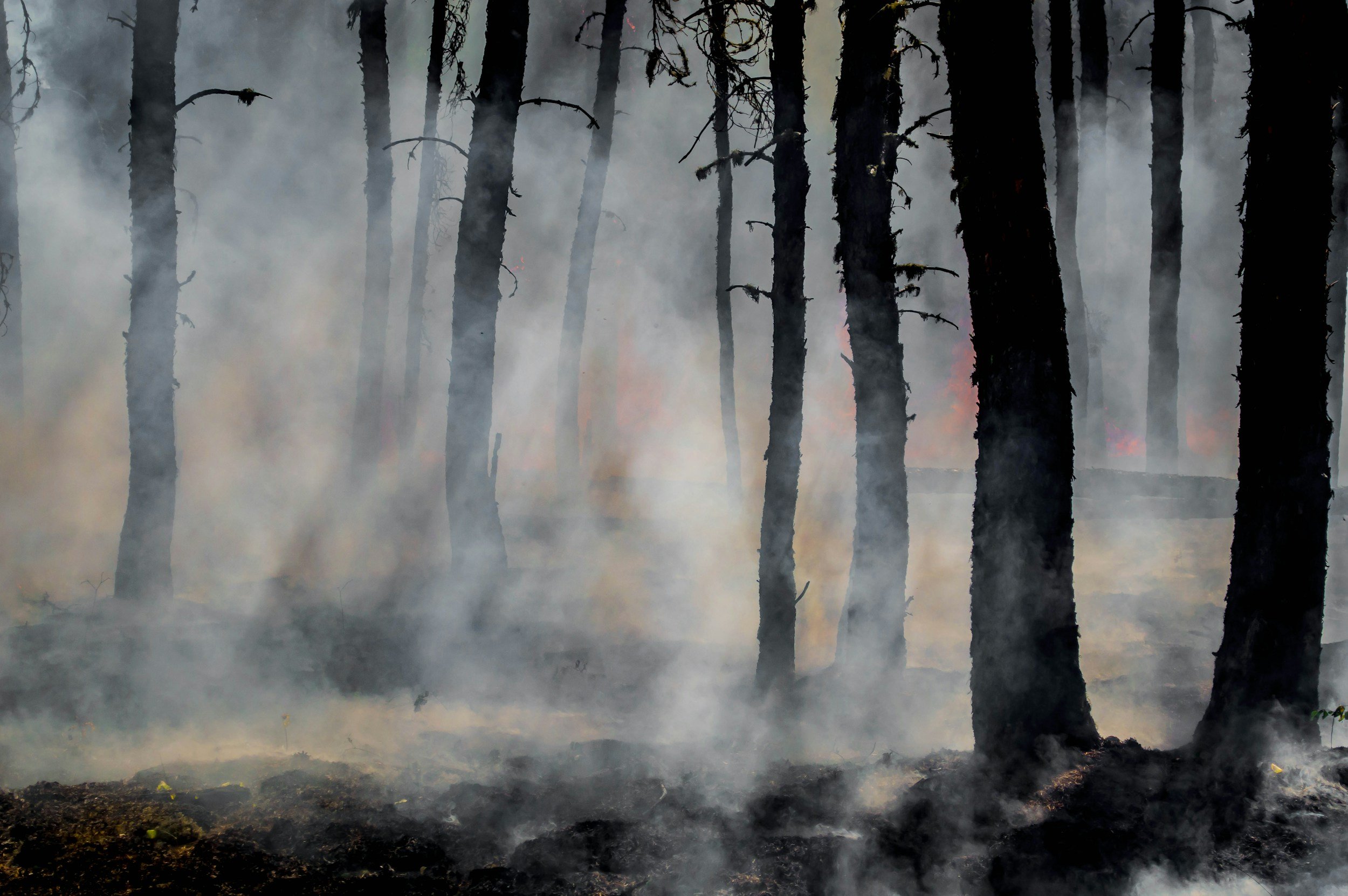 Guía de preparación para la temporada de incendios forestales