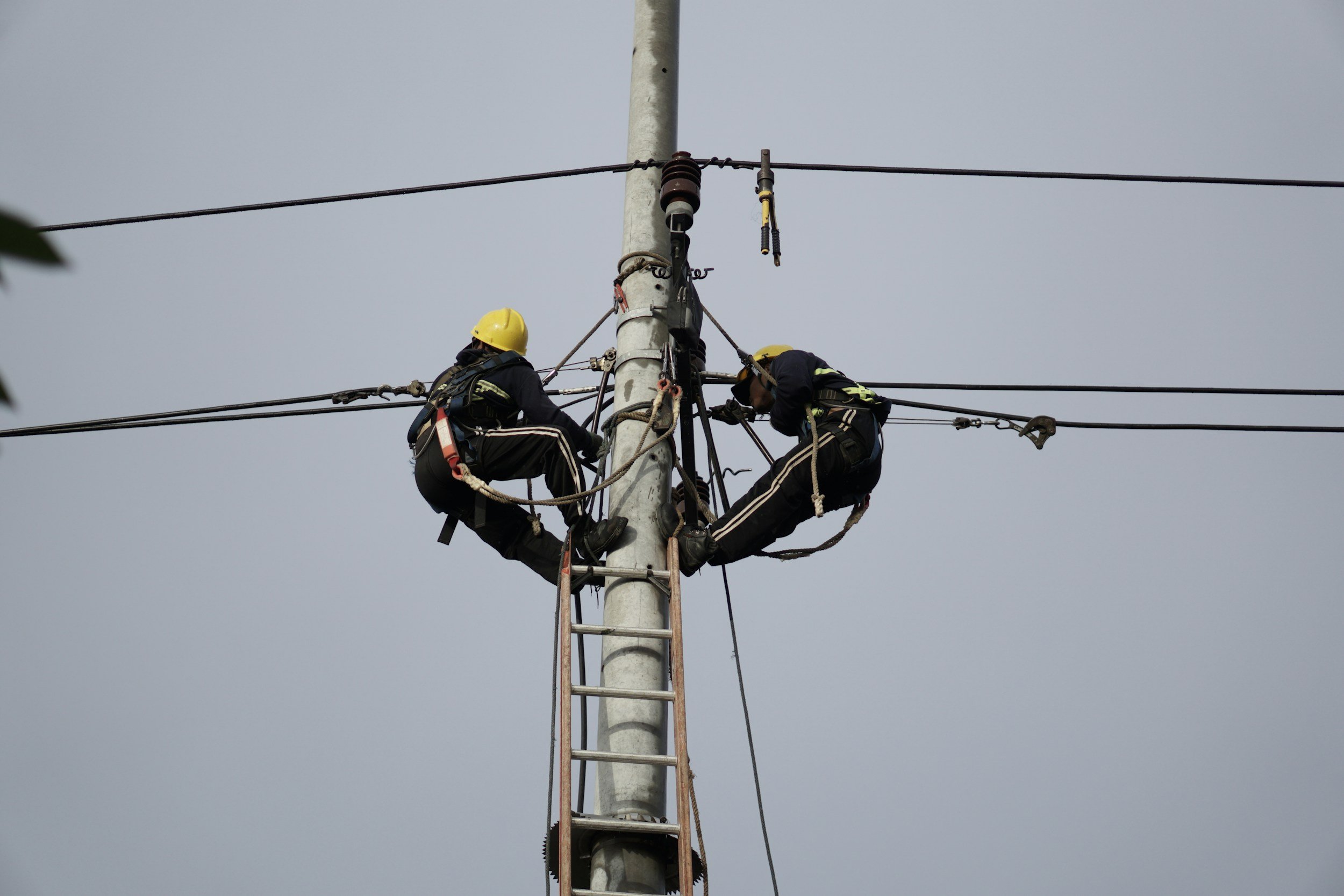 Safety Advantages of Wood Maintenance Versus Replacement 