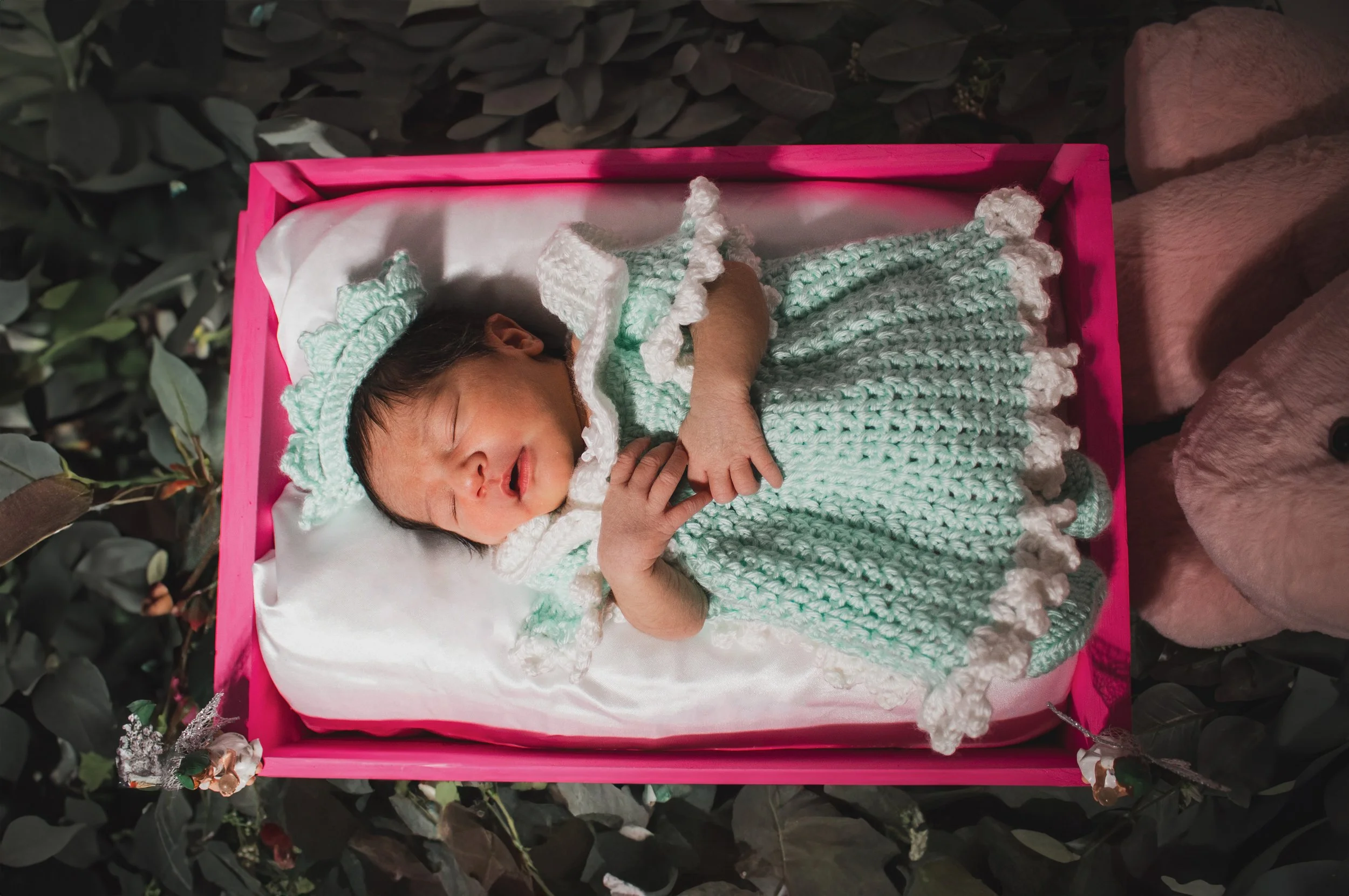 A newborn baby sleeping in a pink cradle, wrapped in a knitted blanket and wearing a crocheted bonnet, surrounded by dark green foliage.