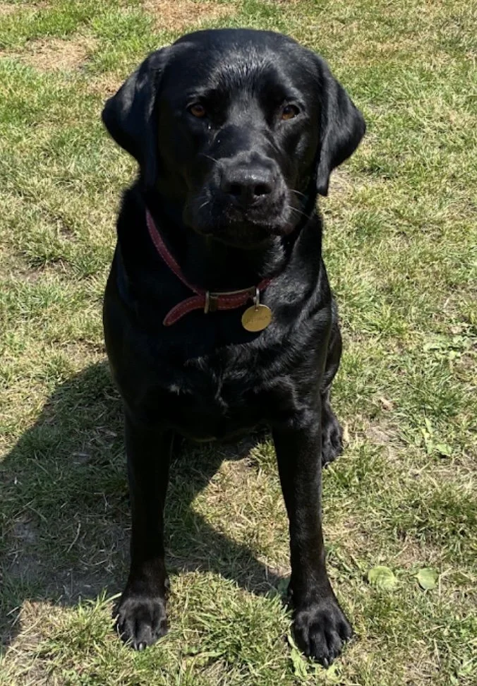 Image 30-10-2024 at 11.17.jpeg