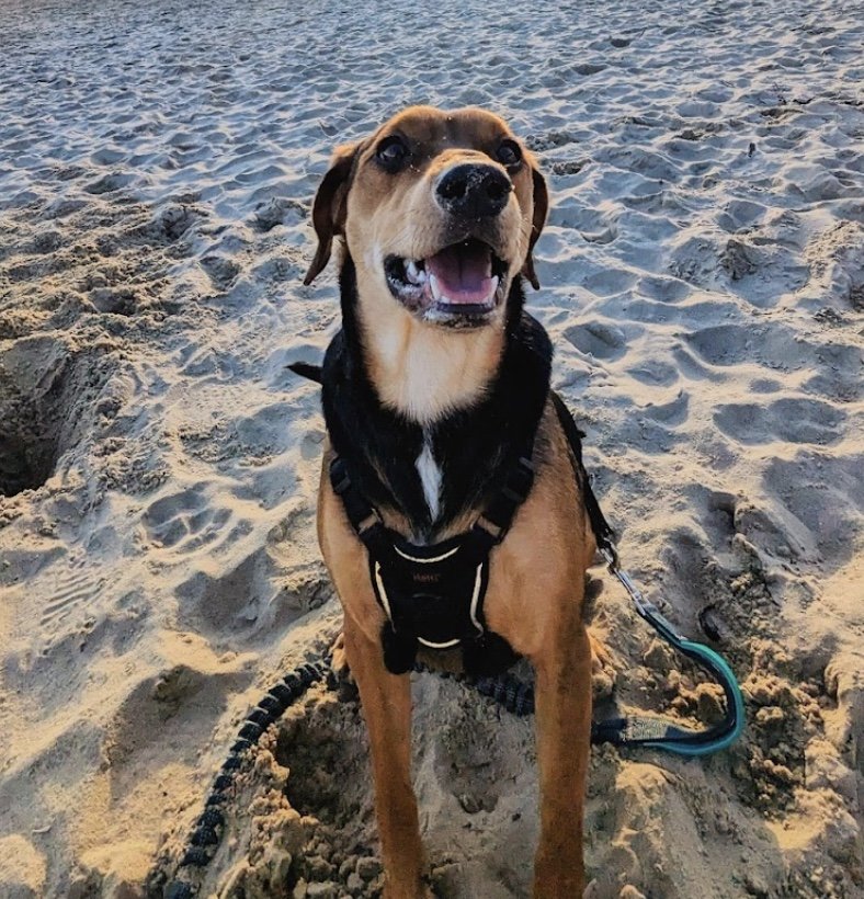 Image 30-10-2024 at 11.19.jpeg