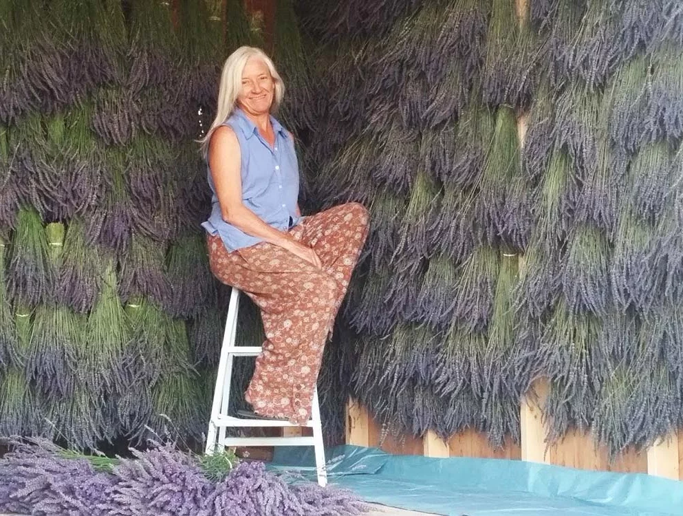 Lavender-Lori-in-Store-Drying-Shed-Cropp.png