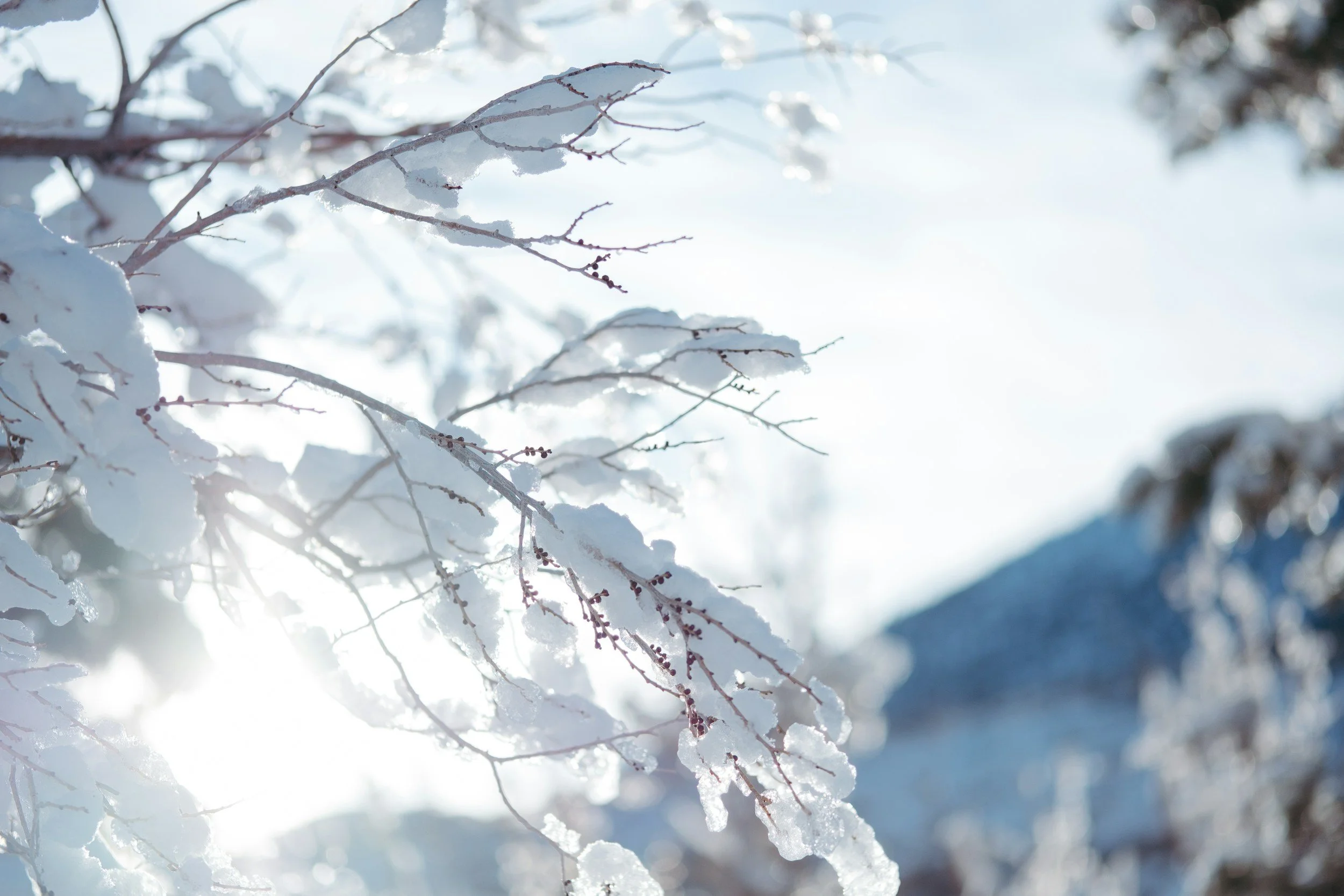 The Power of Gratitude &amp; Positive Thinking in a Season of Giving (and Buying)