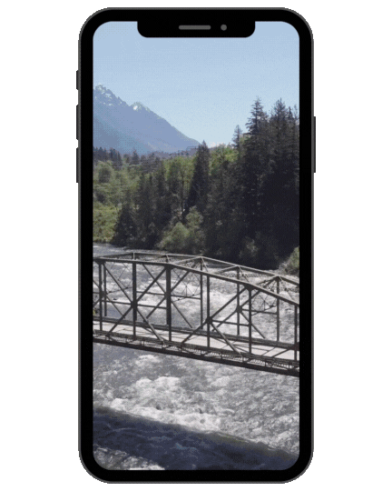 Untitled design (26).gif