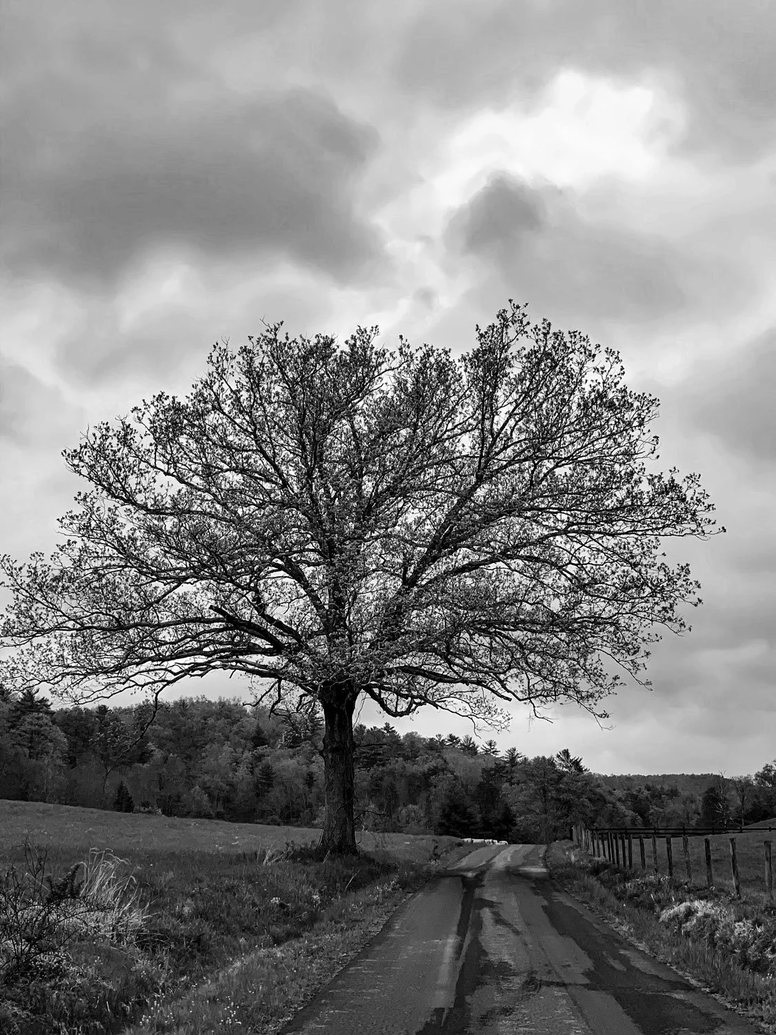 Two-Part B&amp;W Darkroom Workshop