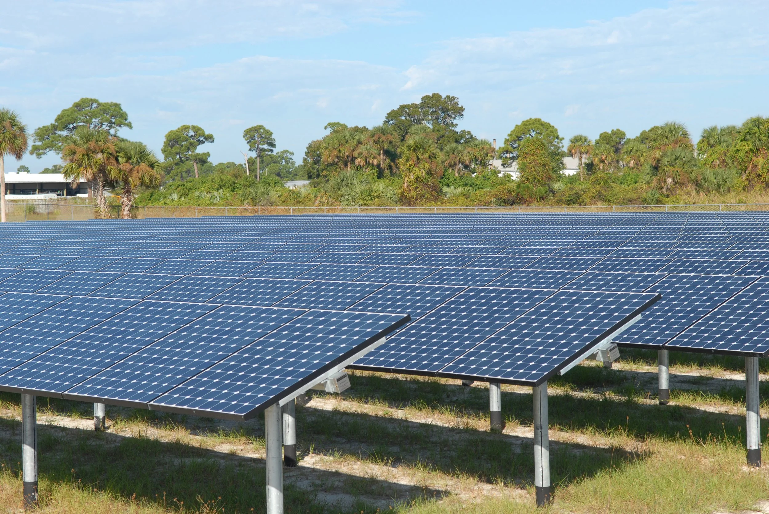 solarfarmpanels.jpg