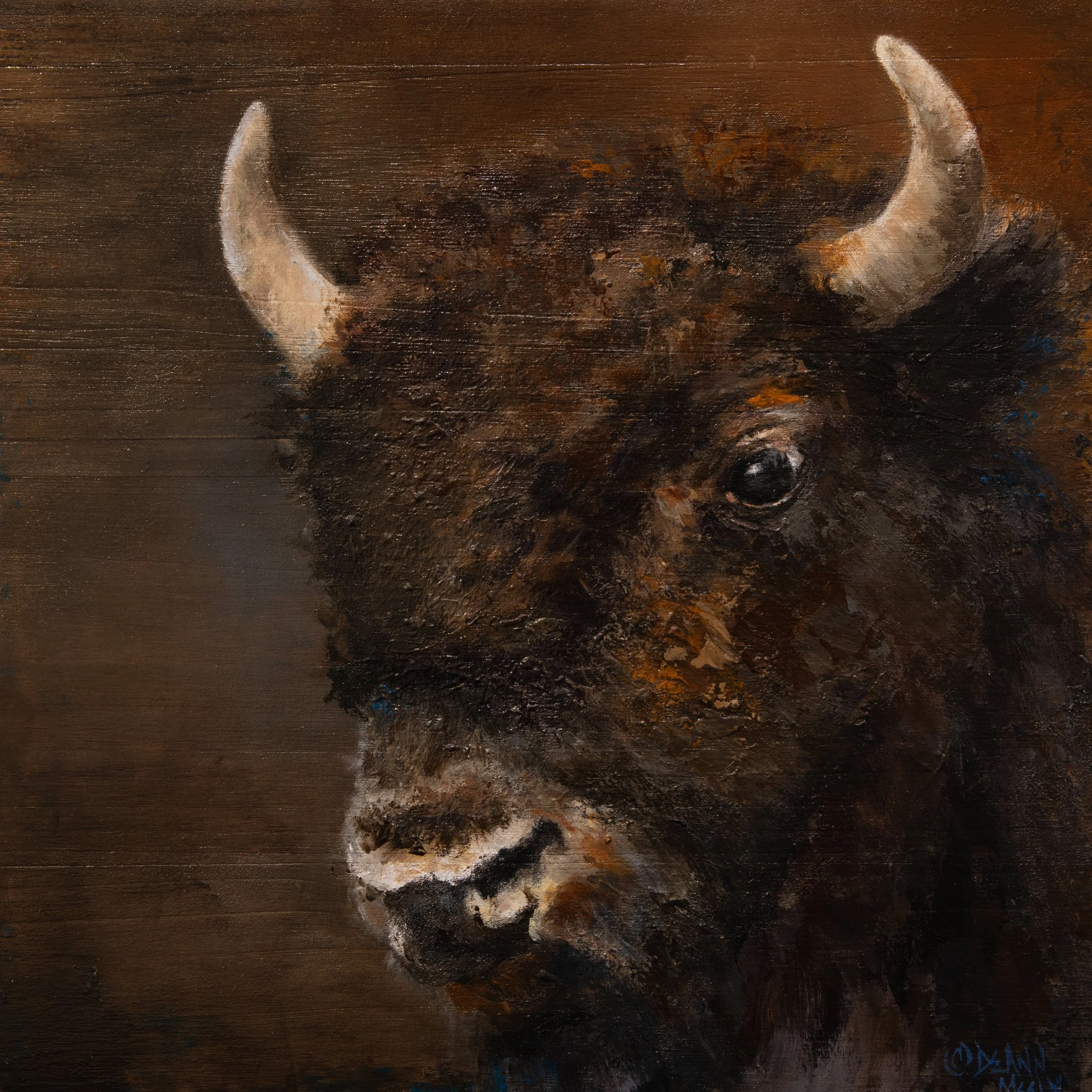 Bison Portrait  10" x 10"