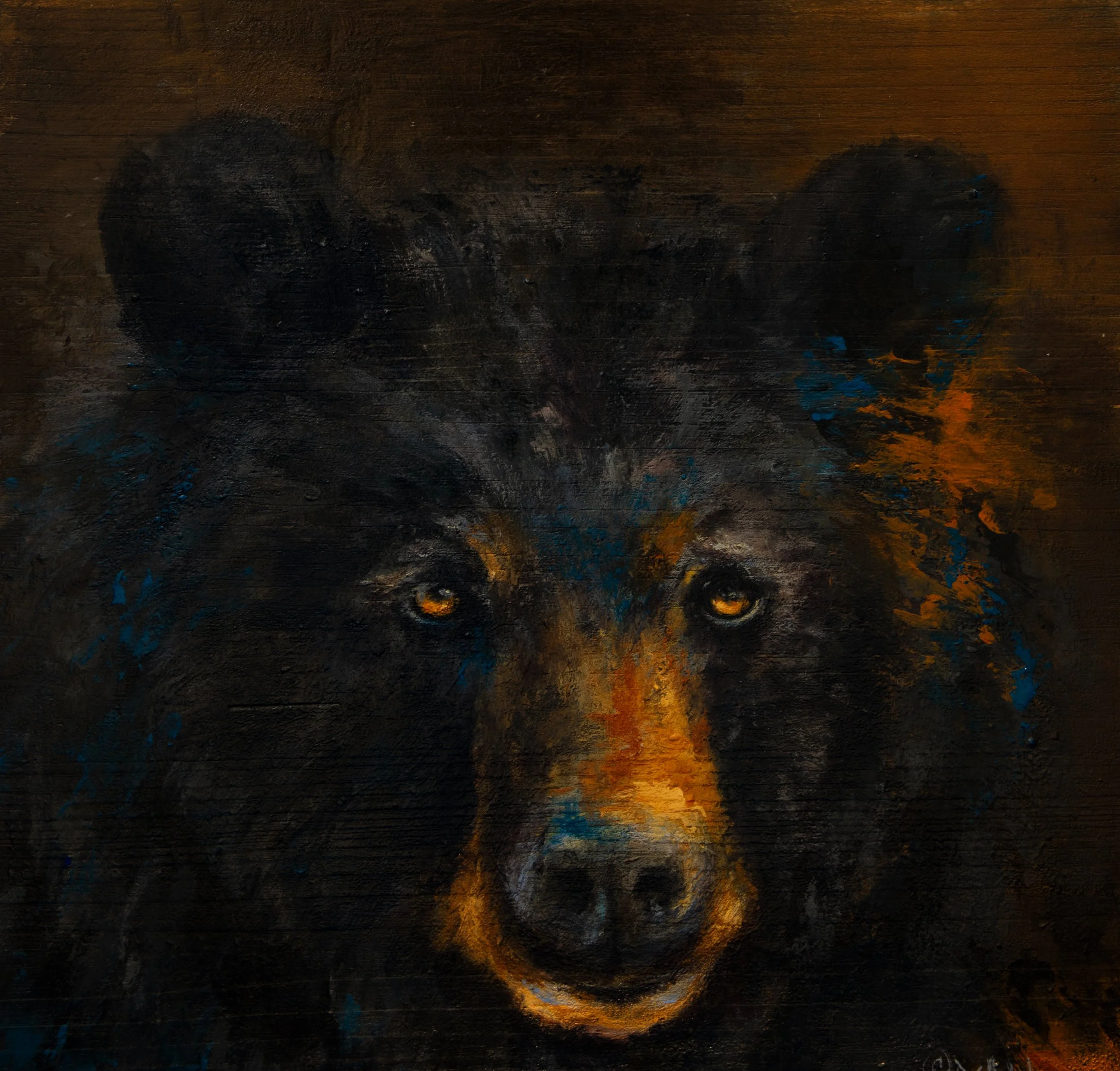 Black Bear Portrait 10" x 10"