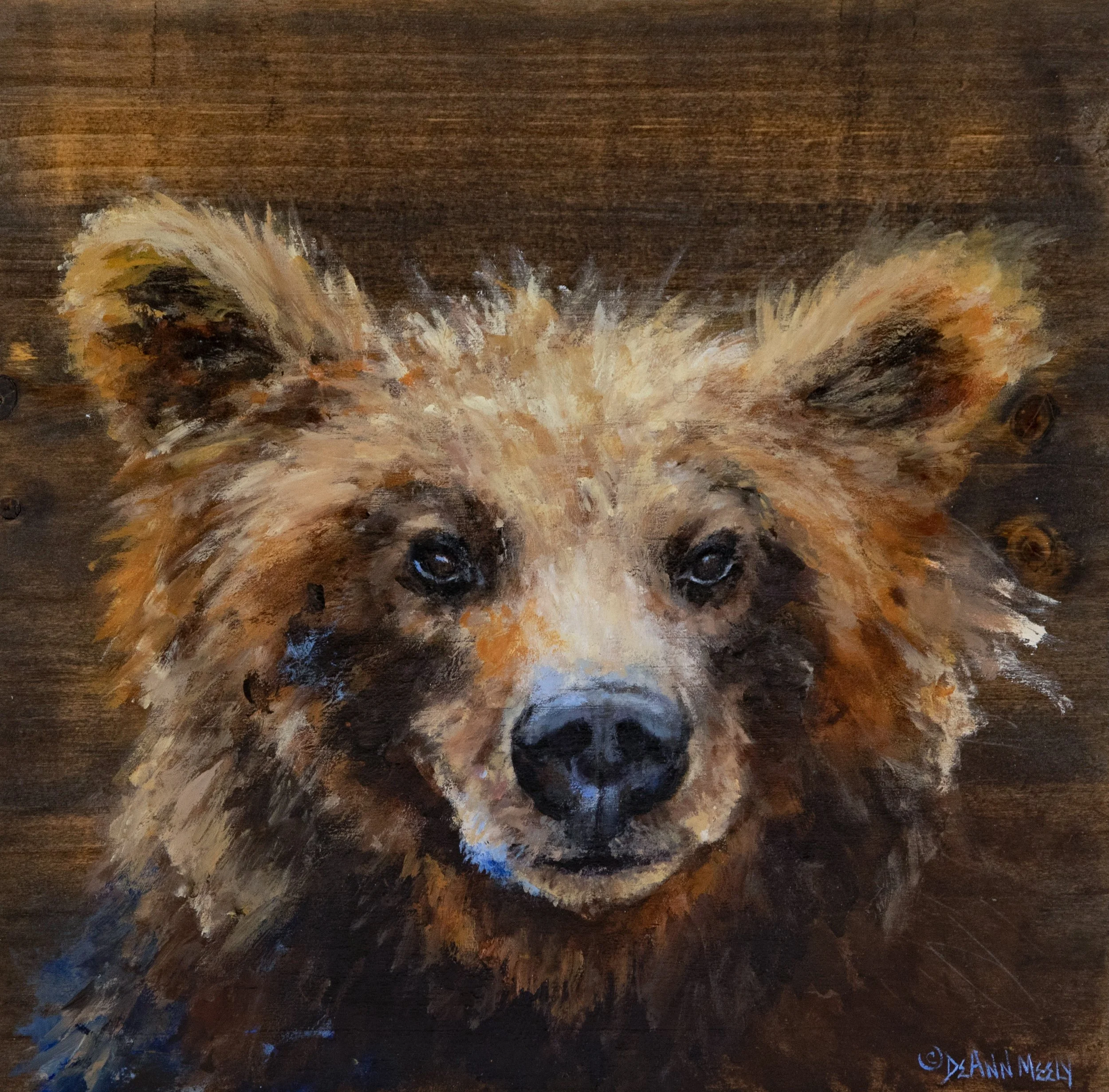 Brown Bear Portrait 10" x 10"