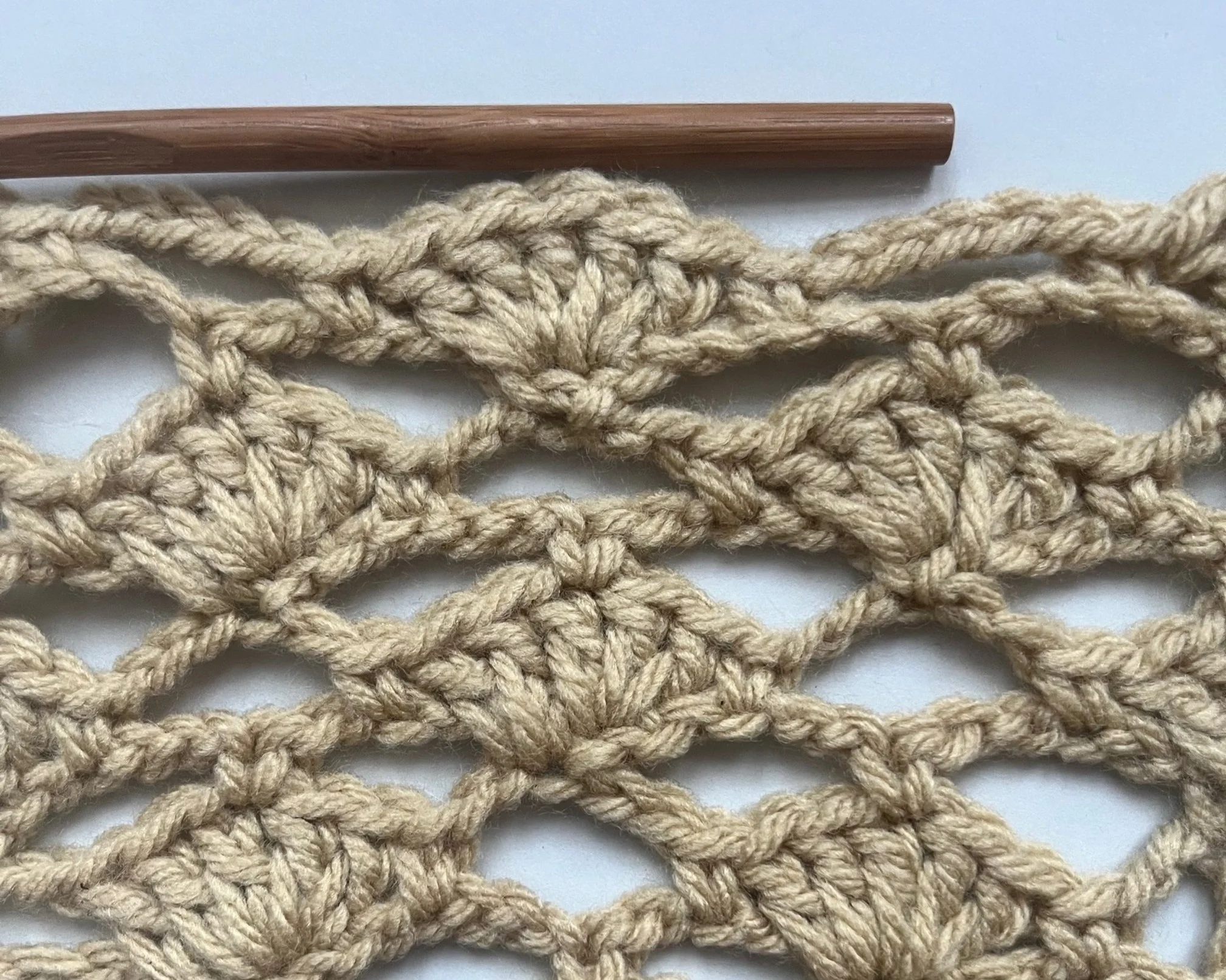 Shell Mesh Stitch | Crochet Blanket Project Part 28