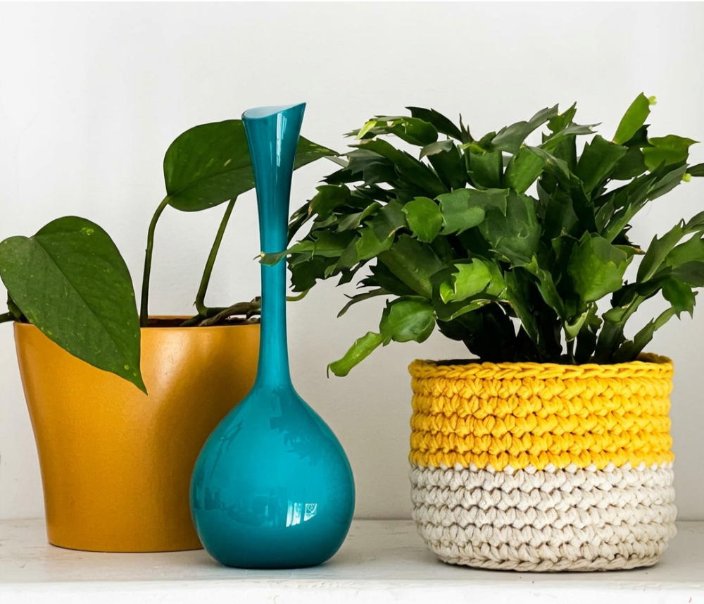 I Made a Crochet Plant Pot Cover — And Now I Have One in Every Room