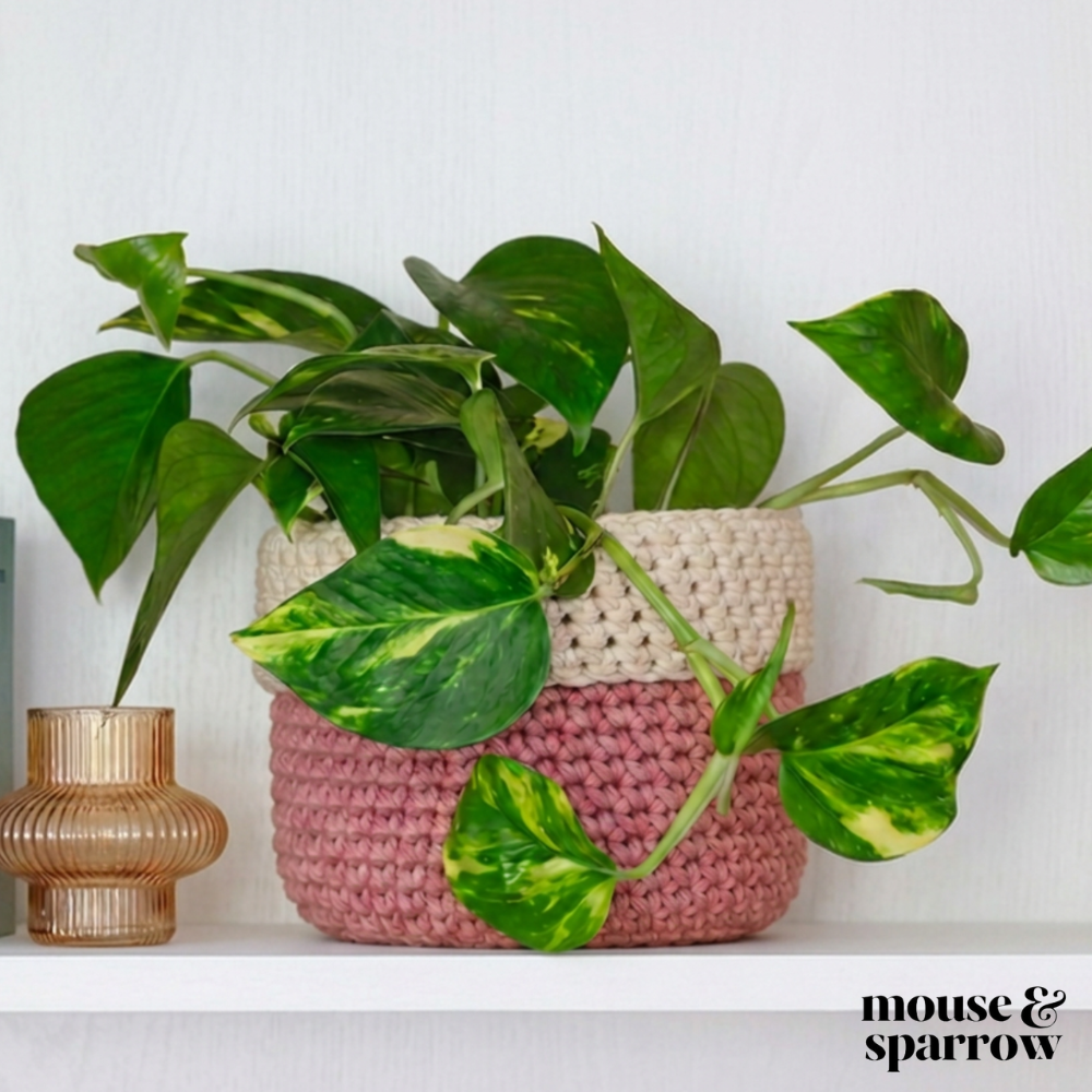 two tone crochet plant pot cover on a shelf