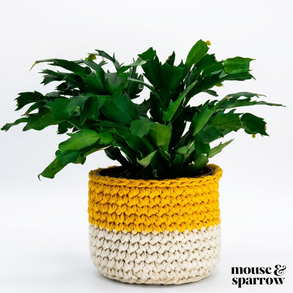 easy plant pot cover for beginners