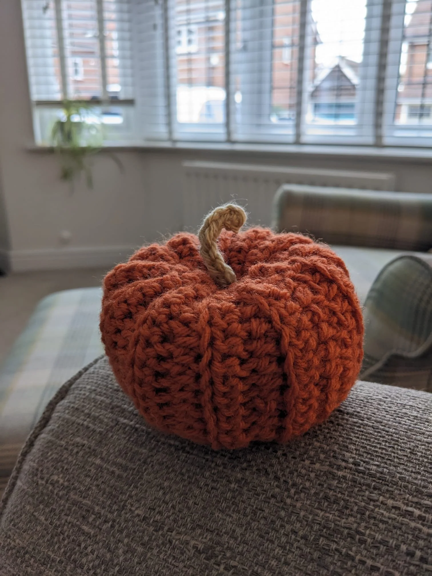 WhatsApp Image 2025-10-04 at 17.06.31_d066afa4.jpg