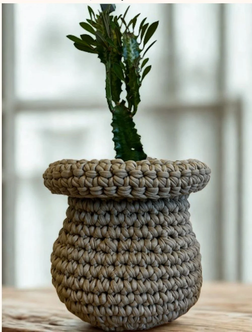 plant pot cover crochet pattern.jpg