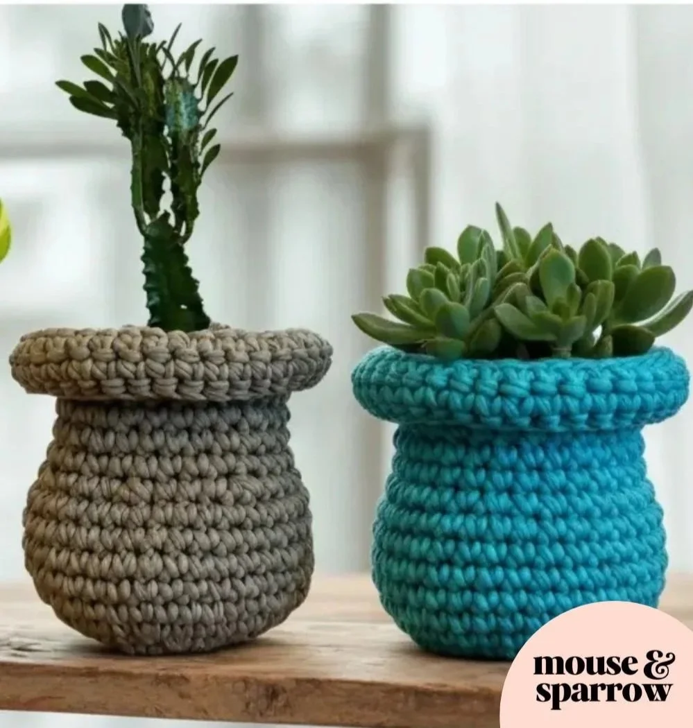 Two crochet plant pot covers with green plants by a window