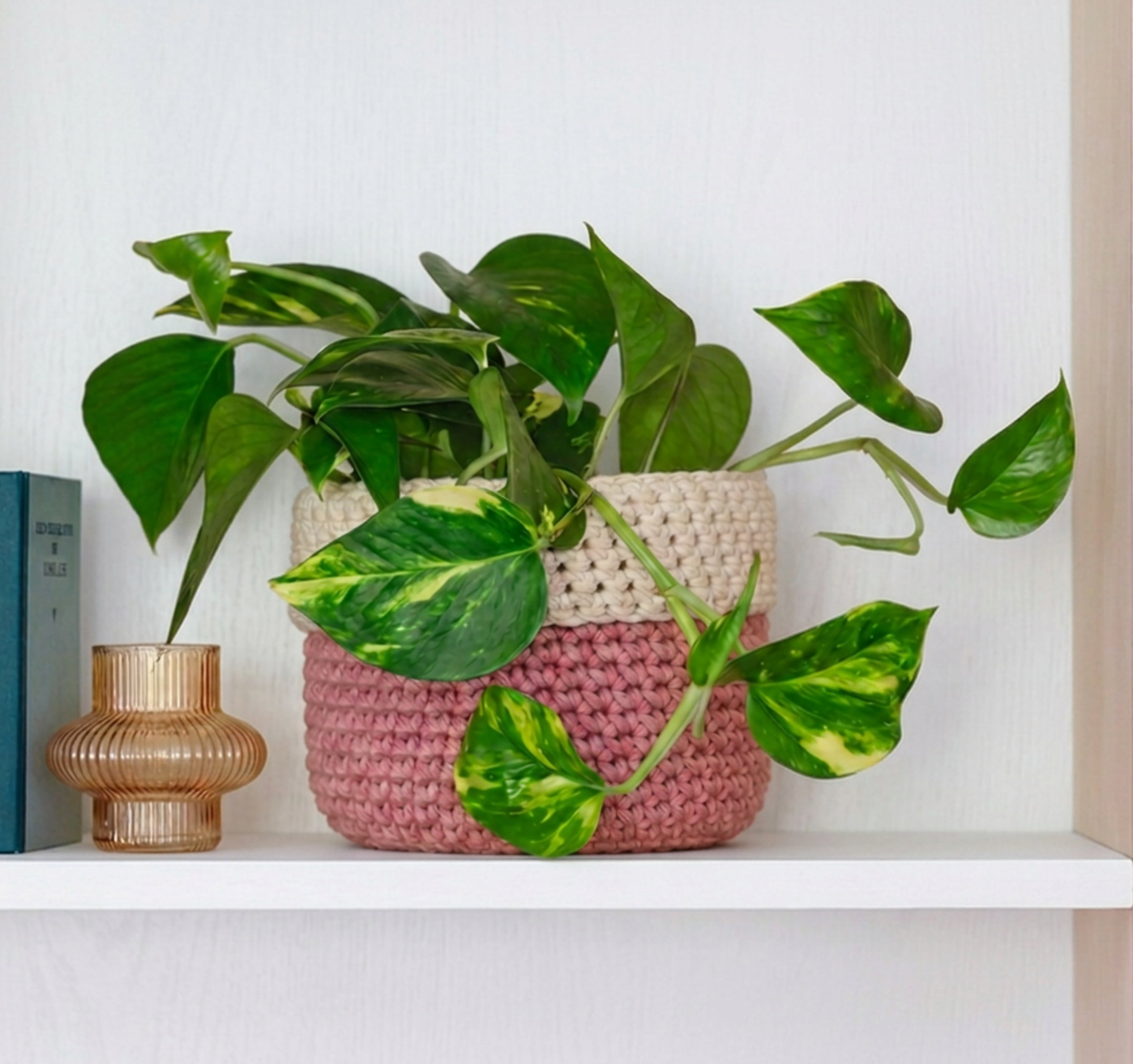 Crochet Plant Pot Covers for a Beautiful Home