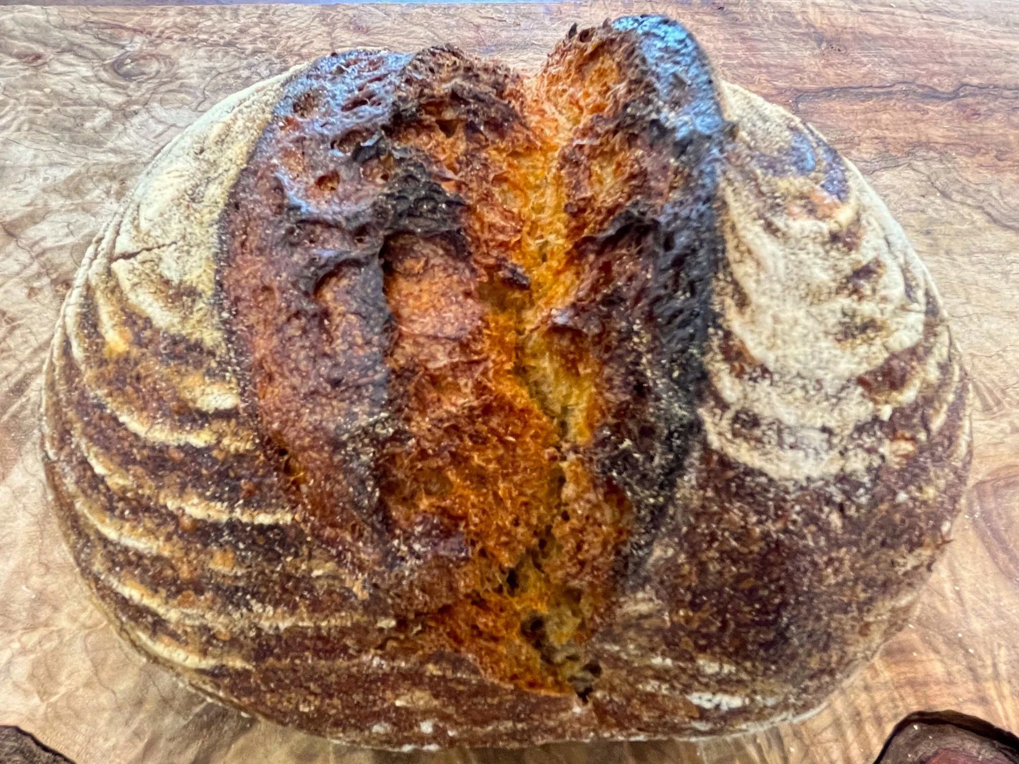 Country Sourdough.jpg