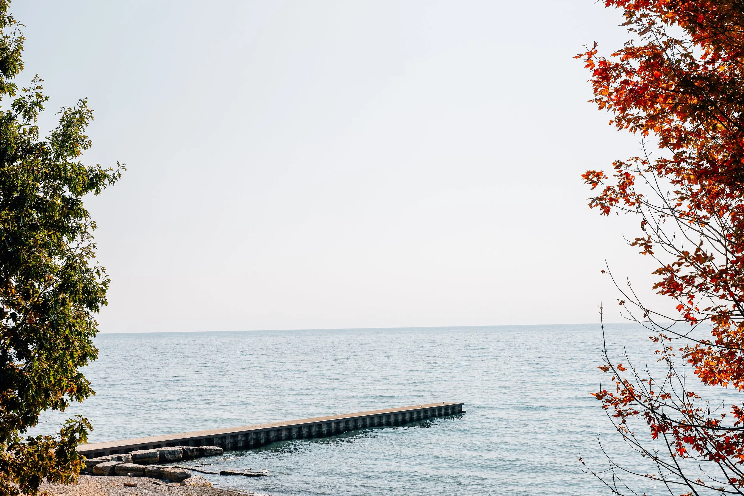SB2014RBC-BEA_0696.jpg