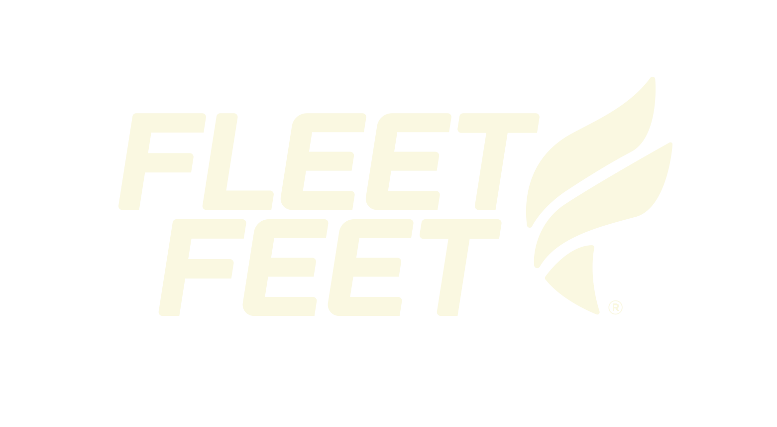 ff.png