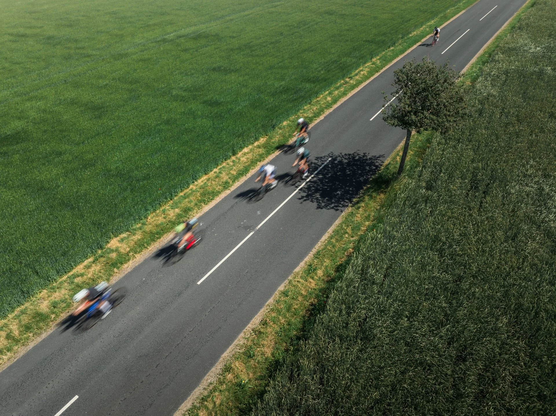 DJI_20260621113341_0368_D.jpg