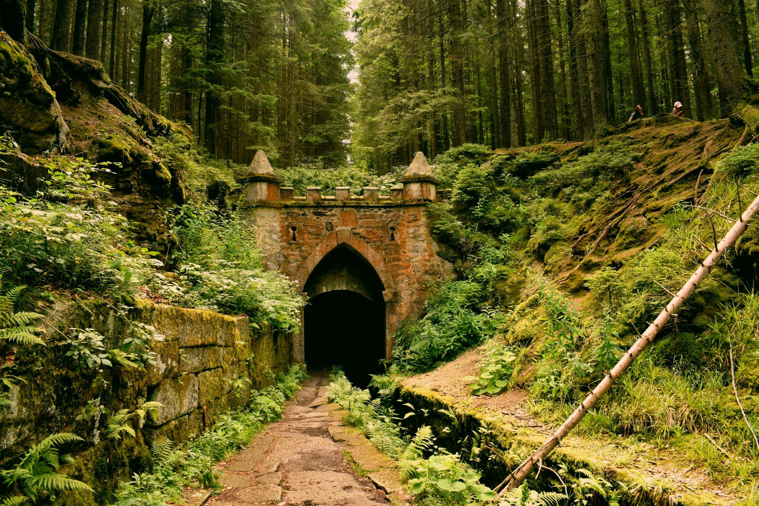 What Is Speculative Fiction? A Genre Guide for Writers