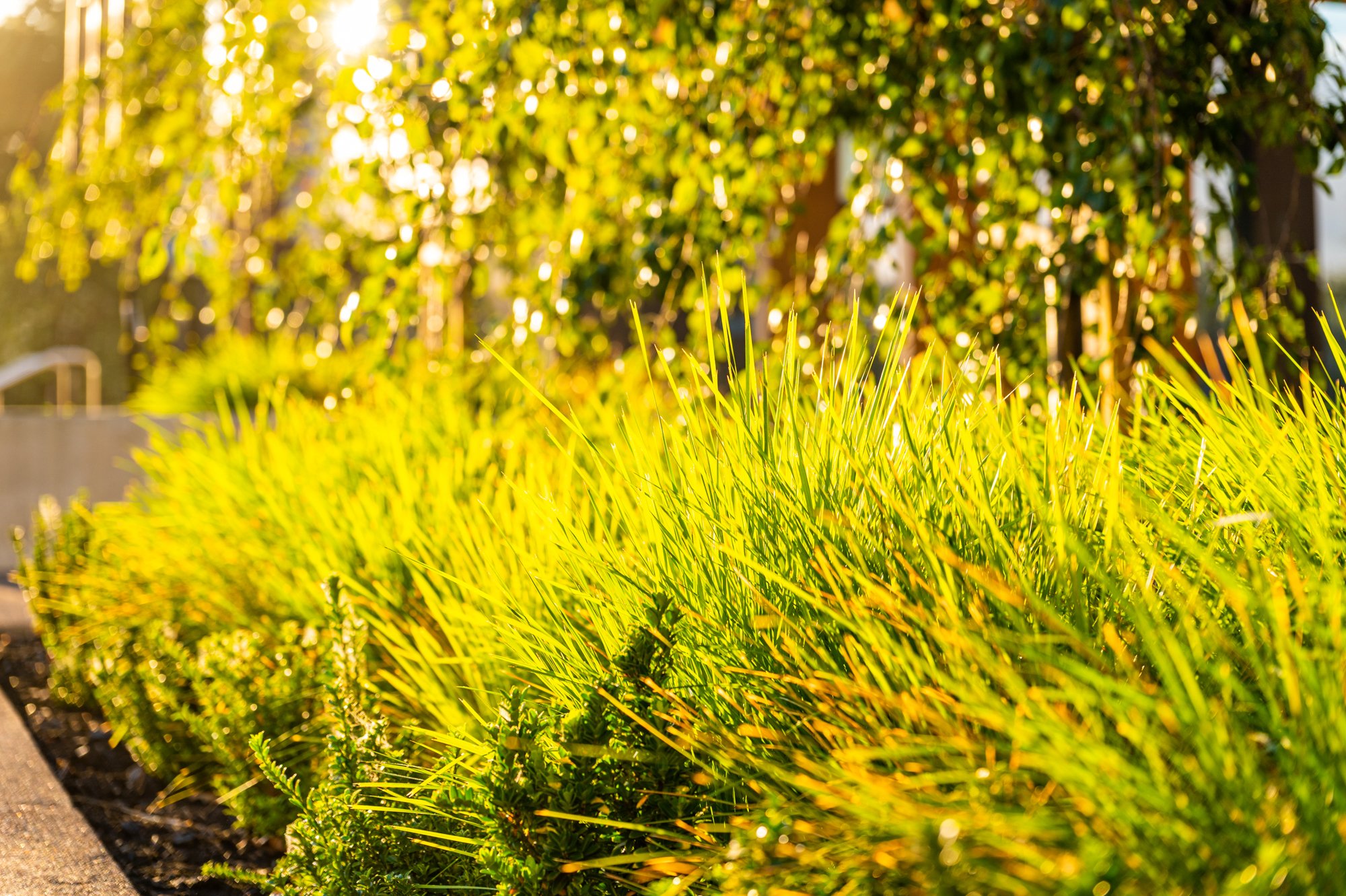 Massey(LissaPhoto)_017.jpg