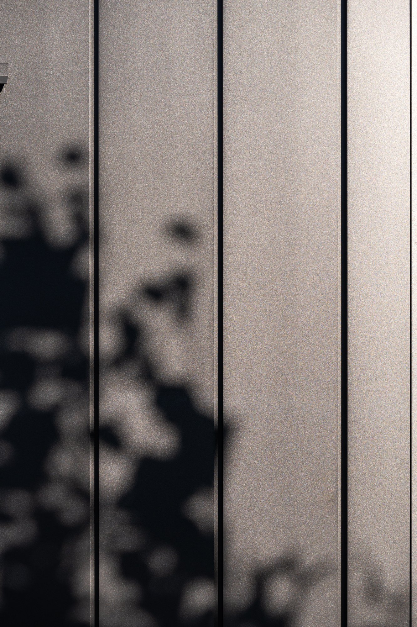 80HighviewQT(LissaPhoto)_005.jpg