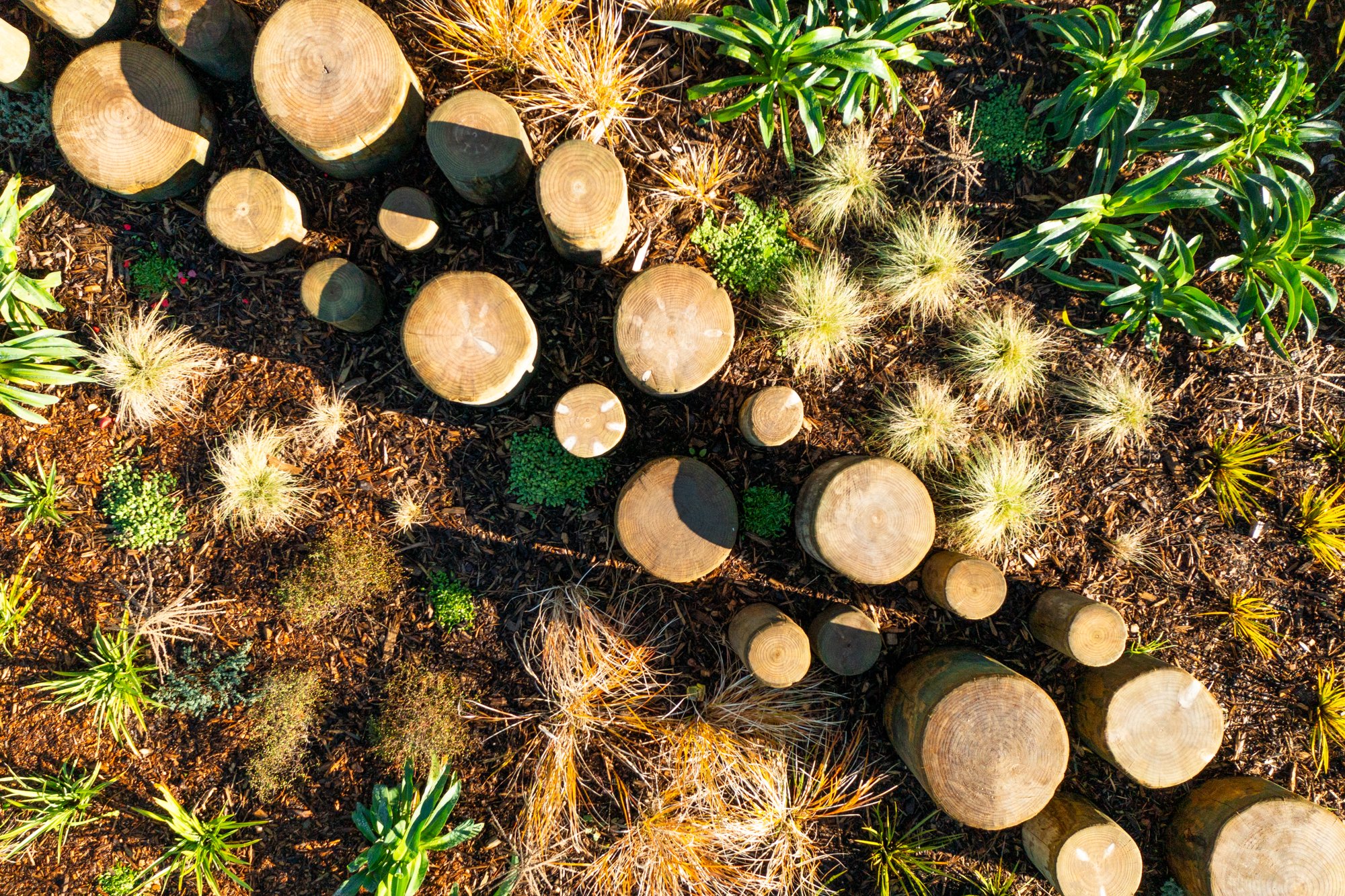 Top view of a garden with wooden logs, mulch, and various plants.