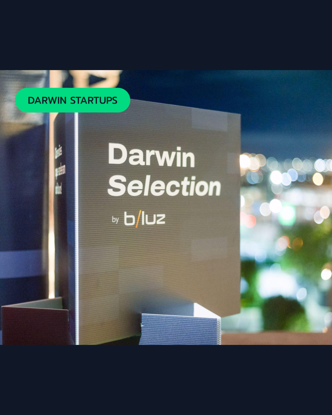 Darwin Selection by b/luz: conexões que fortalecem o ecossistema