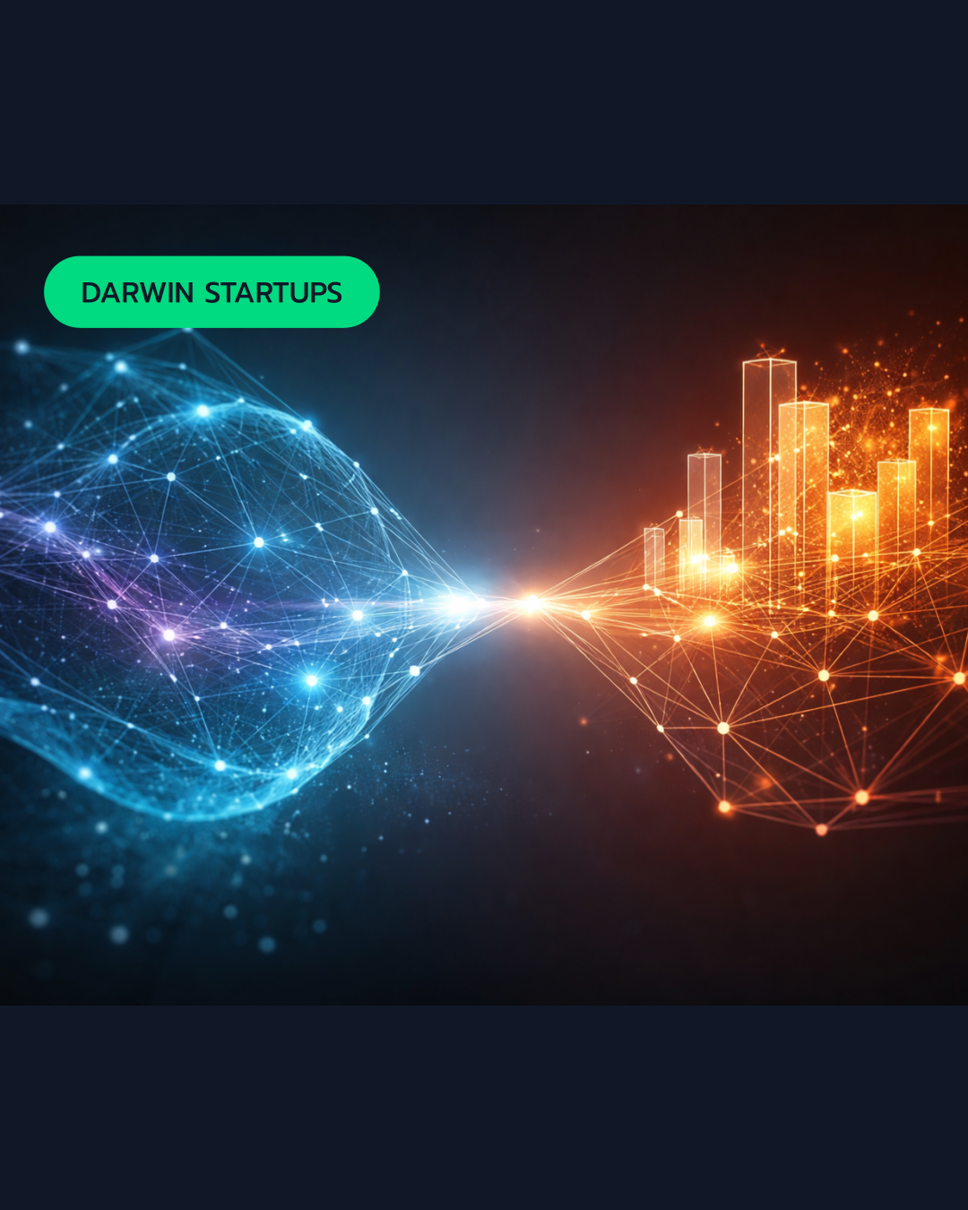 A empresa simbiótica: por que a colaboração entre startups e corporações precisa evoluir