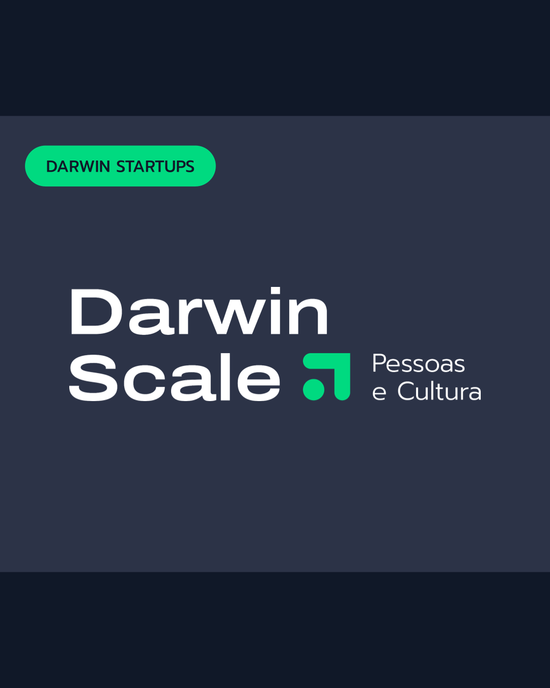 Inscrições abertas para o programa de Pessoas &amp; Cultura da Darwin Startups